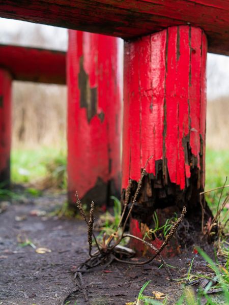 Cost of Rotten Column Replacement in Orange